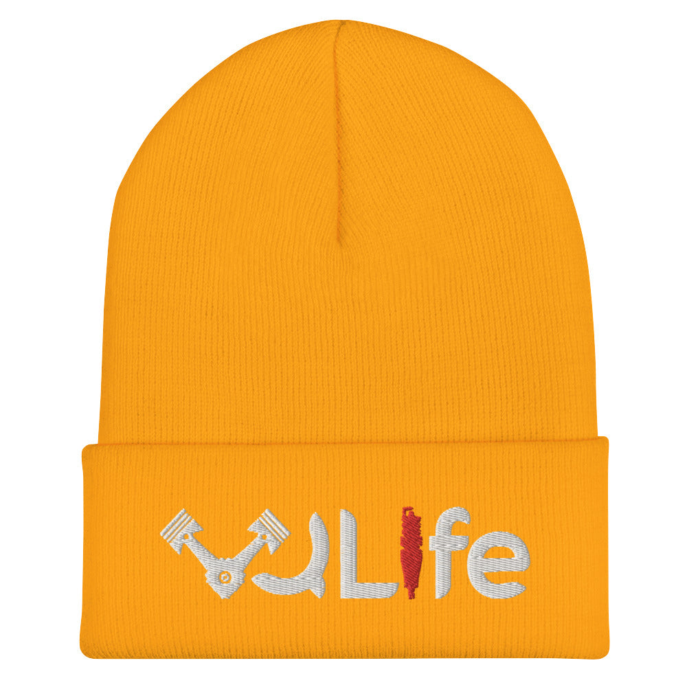 VQLife Beanie
