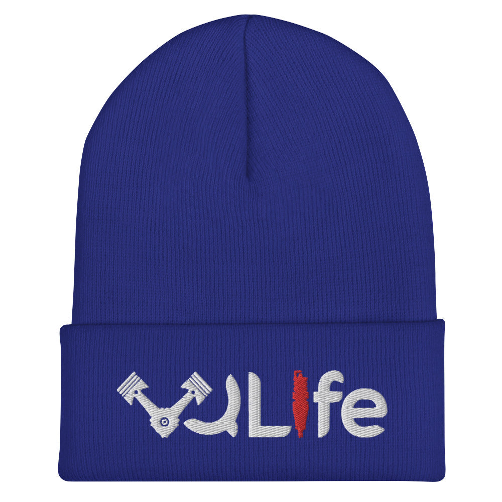 VQLife Beanie