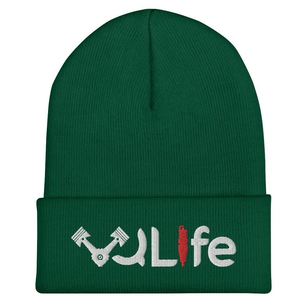 VQLife Beanie